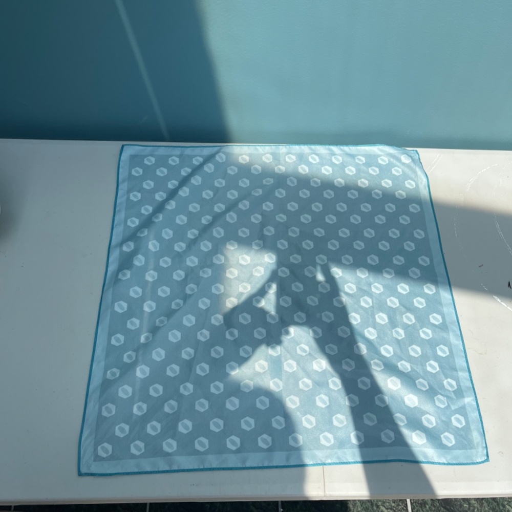 Printed Scarf - Picture 4 of 4